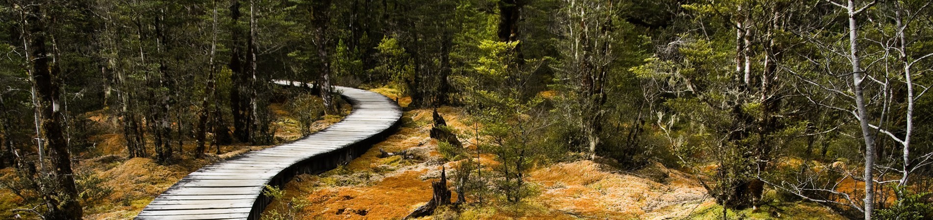 INTEGRACIÓN PAISAJÍSTICA Y AMBIENTAL